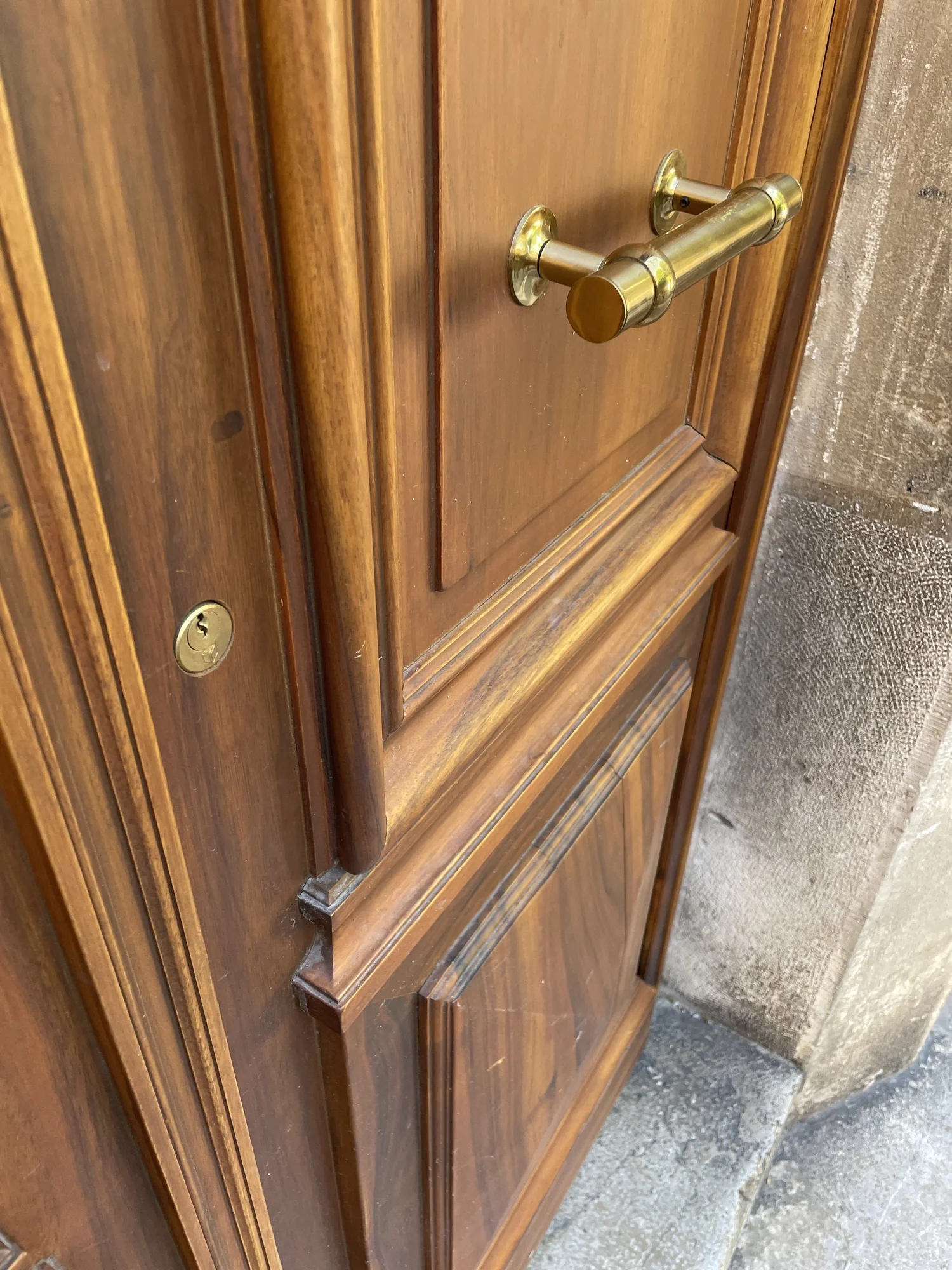 Une porte en bois avec une poignée en laiton et une serrure