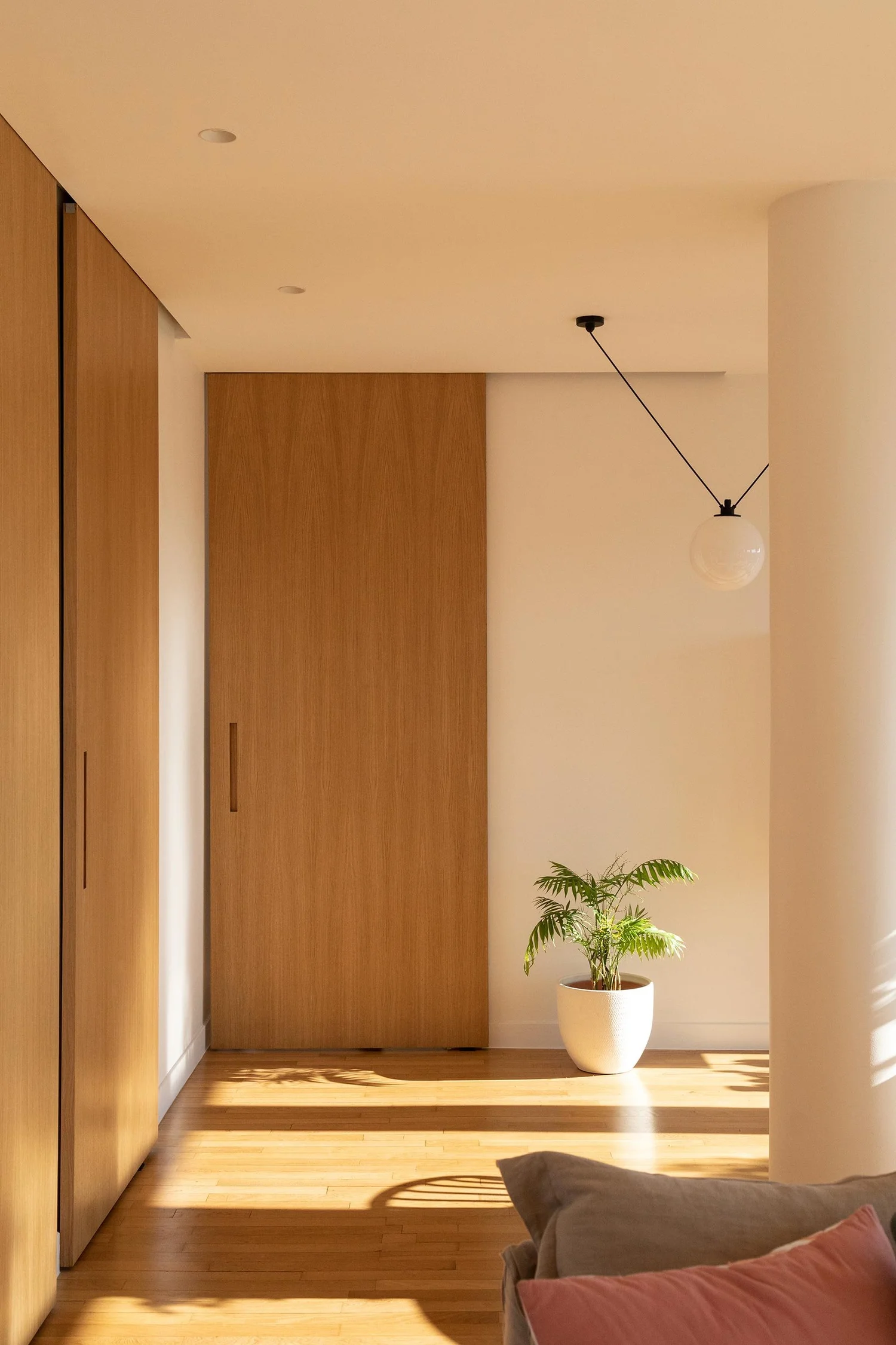 Intérieur moderne avec une porte en bois, un plafond blanc, une lampe suspendue et une plante verte